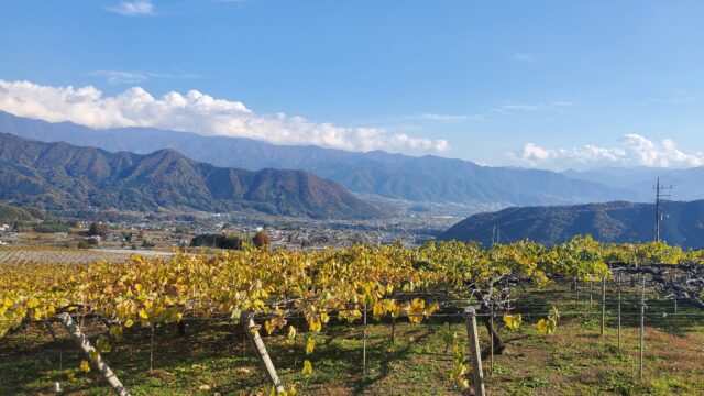 最高の秋晴れとワイン！ワインツーリズムやまなし2025秋 塩山・牧丘 参加レポ