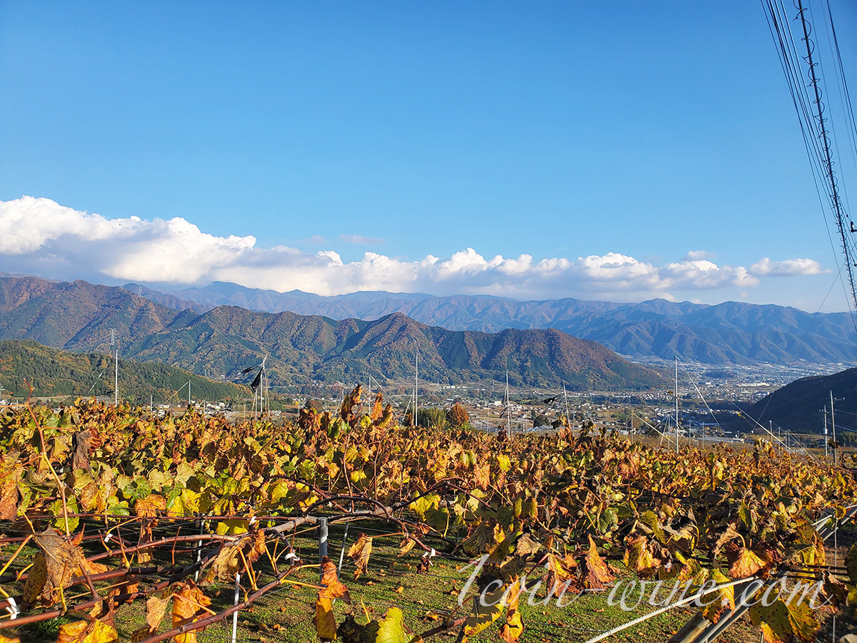ワインツーリズムやまなし2025秋 塩山・牧丘 カンティーナヒロ