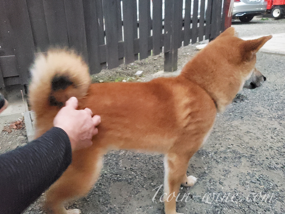 ワインツーリズムやまなし2025秋 塩山・牧丘 甲斐ワイナリー