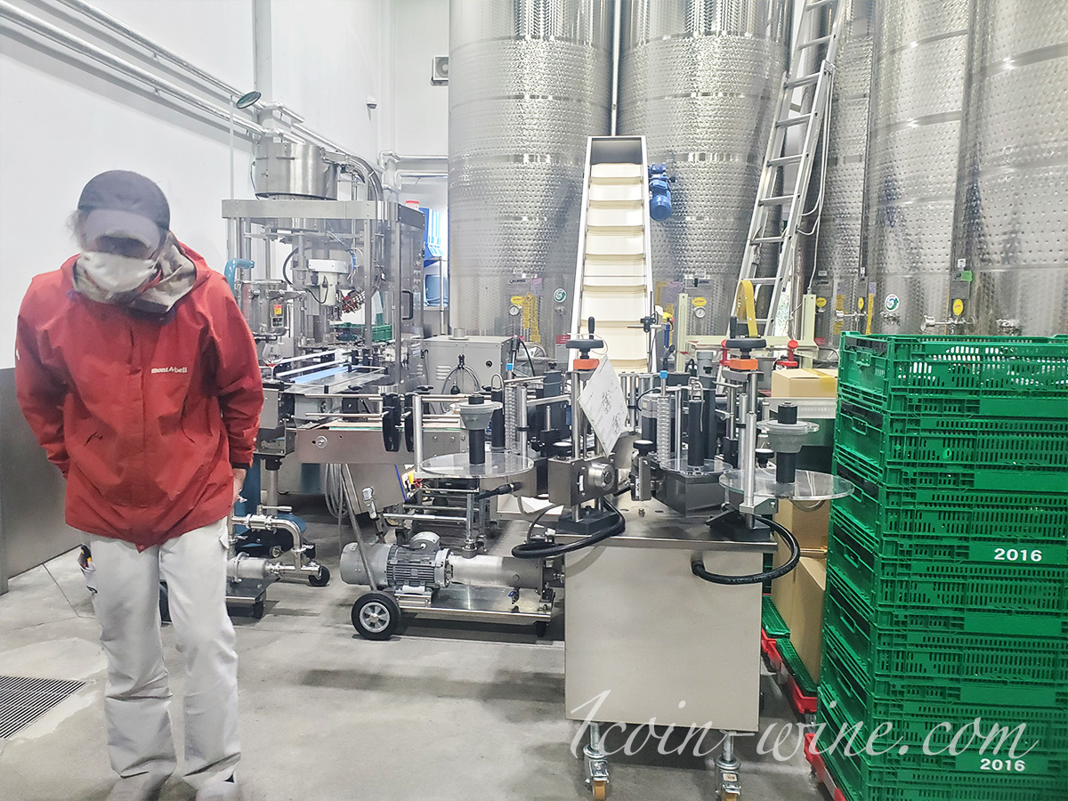 ワインツーリズムやまなし2025秋 塩山・牧丘 室伏ワイナリーツアー