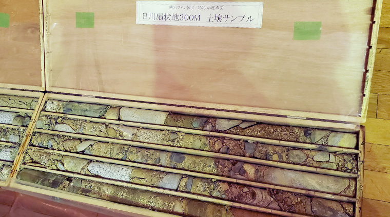 ボーリングコアから見た土壌分布 日川扇状地 300m 土壌サンプル(第46回甲州市勝沼ワインゼミナール)