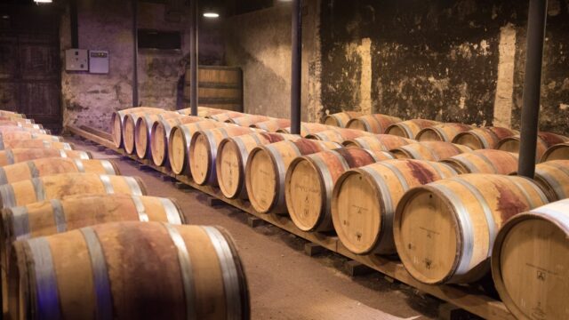 ボジョレーヌーボーとは？今年の出来はどう？楽しく飲む知識まとめ