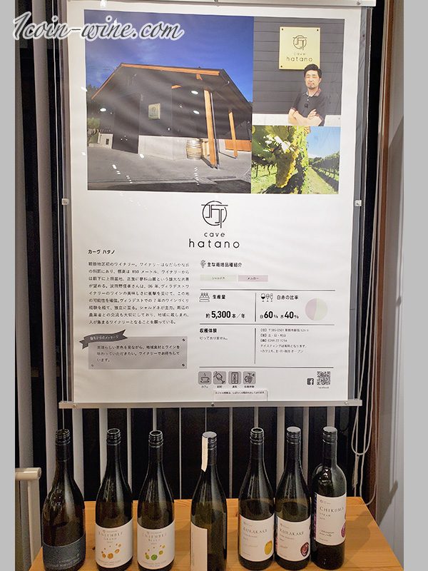 湯楽里館ワイン&ビアミュージアムのカーヴハタノ解説パネル