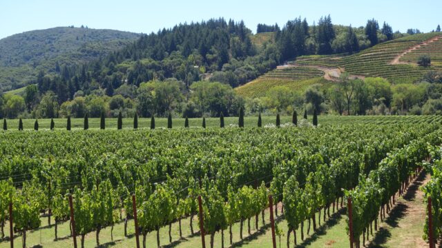 第47回 勝沼ワインゼミナール 【特別講演】 勝沼とナパの共通点とは