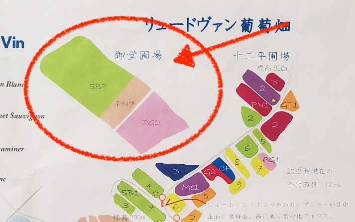 カーヴドミドウ葡萄畑マップ