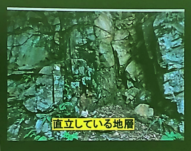 日本列島の形成史から読み解く勝沼扇状地の地質特性 直立する地層(第46回甲州市勝沼ワインゼミナール)