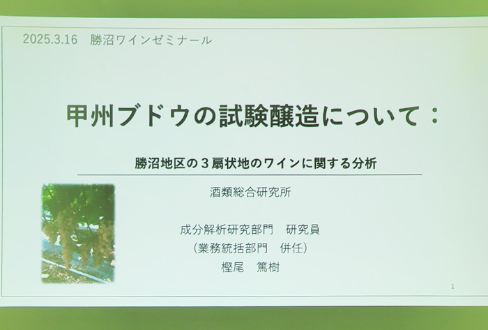 甲州ブドウの試験醸造について(第46回甲州市勝沼ワインゼミナール)